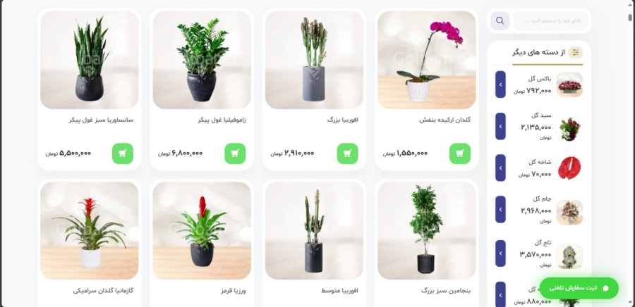 خرید گیاهان آپارتمانی